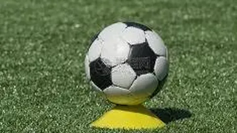 阿莱格里揭秘：普利希奇强势复出在即，拉比奥即将归来助力战局！