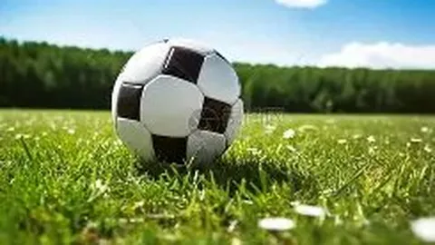 万博体育 资讯 100046 b5o