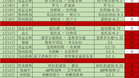 体能管理关键，密集赛事需慎行，后防稳固前场存疑