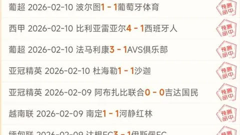 金泽历史困局对战影响分析